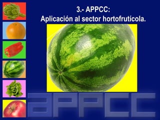 3.- APPCC: 
Aplicación al sector hortofrutícola. 
 