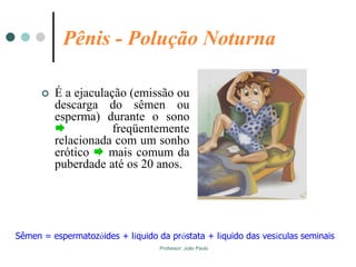 Professor: João Paulo
Pênis - Polução Noturna
 É a ejaculação (emissão ou
descarga do sêmen ou
esperma) durante o sono
 freqüentemente
relacionada com um sonho
erótico  mais comum da
puberdade até os 20 anos.
Sêmen = espermatozóides + líquido da próstata + líquido das vesículas seminais
 