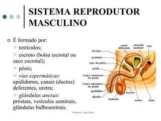 Professor: João Paulo
SISTEMA REPRODUTOR
MASCULINO
 É formado por:
 testículos;
 escroto (bolsa escrotal ou
saco escrotal);
 pênis;
 vias espermáticas:
epidídimos, canais (ductos)
deferentes, uretra;
 glândulas anexas:
próstata, vesículas seminais,
glândulas bulbouretrais.
 