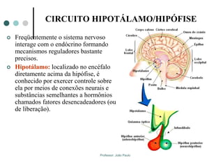 Professor: João Paulo
CIRCUITO HIPOTÁLAMO/HIPÓFISE
 Freqüentemente o sistema nervoso
interage com o endócrino formando
mecanismos reguladores bastante
precisos.
 Hipotálamo: localizado no encéfalo
diretamente acima da hipófise, é
conhecido por exercer controle sobre
ela por meios de conexões neurais e
substâncias semelhantes a hormônios
chamados fatores desencadeadores (ou
de liberação).
 