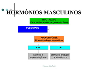 Professor: João Paulo
HORMÔNIOS MASCULINOS
PUBERDADE
Estimula a
espermatogênese
FSH
Estimula a produção
de testosterona
LH
ADENOHIPÓFISE
Liberação de gonadotrofinas
HIPOTÁLAMO
Fatores liberadores de gonadotrofinas
 