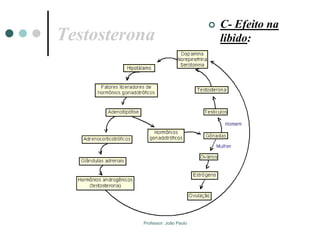 Professor: João Paulo
Testosterona
 C- Efeito na
libido:
 