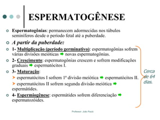 Professor: João Paulo
ESPERMATOGÊNESE
 Espermatogônias: permanecem adormecidas nos túbulos
seminíferos desde o período fetal até a puberdade.
 A partir da puberdade:
 1- Multiplicação (período germinativo): espermatogônias sofrem
várias divisões meióticas  novas espermatogônias.
 2- Crescimento: espermatogônias crescem e sofrem modificações
graduais  espermatócitos I.
 3- Maturação:
 espermatócitos I sofrem 1ª divisão meiótica  espermatócitos II.
 espermatócitos II sofrem segunda divisão meiótica 
espermátides.
 4- Espermiogênese: espermátides sofrem diferenciação 
espermatozóides.
Cerca
de 64
dias.
 