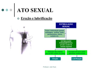 Professor: João Paulo
ATO SEXUAL
 Ereção e lubrificação
Toque, estimulação genital,
massagem, sonhos, visão,
pensamentos, cheiro,
audição etc.
Ereção
Dilatação das artérias
dos tecidos eréteis do pênis
Lubrificação
Secreção de muco pelas
glândulas bulbouretrais
ESTIMULAÇÃO
PARASSIMPÁTICA:
porção caudal da
medula espinhal
ESTIMULAÇÃO
SEXUAL
 