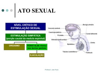 Professor: João Paulo
ATO SEXUAL
 Orgasmo e Ejaculação
ORGASMO
EJACULAÇÃO
PERISTALSE rítmica
nos ductos genitais
ESTIMULAÇÃO SIMPÁTICA
(porção caudal da medula espinhal)
NÍVEL CRÍTICO DE
ESTIMULAÇÃO SEXUAL
 
