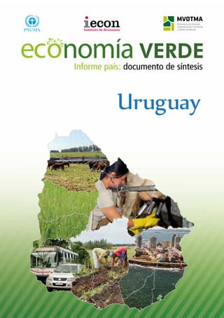 Informe país: documento de síntesis 
Uruguay 
 