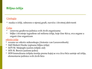 379350962-Građa-i-Funkcija-Biljne-Ćelije.ppt