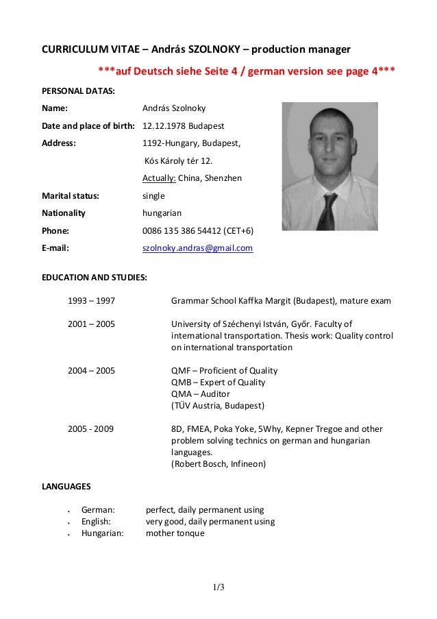 Curriculum Vitae Resume Template Sample German Austria Lebenslauf Vorlage