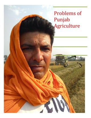 Problems of
Punjab
Agriculture
 