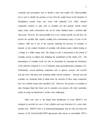 FORENSIC IDENTIFICATION OF HUMAN URINE STAIN EVIDENCE USING ...