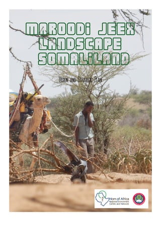 MAROODI JEEX
LANDSCAPE
SOMALILAND
Vision and Strategic Plan
 