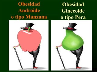 17
Obesidad
Androide
o tipo Manzana
Obesidad
Ginecoide
o tipo Pera
 