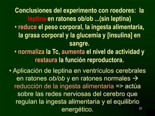 29
Conclusiones del experimento con roedores: la
leptina en ratones ob/ob ...(sin leptina)
• reduce el peso corporal, la ingesta alimentaria,
la grasa corporal y la glucemia y [insulina] en
sangre.
• normaliza la Tc, aumenta el nivel de actividad y
restaura la función reproductora.
• Aplicación de leptina en ventrículos cerebrales
en ratones ob/ob y en ratones normales 
reducción de la ingesta alimentaria => actúa
sobre las redes nerviosas del cerebro que
regulan la ingesta alimentaria y el equilibrio
energético.
 