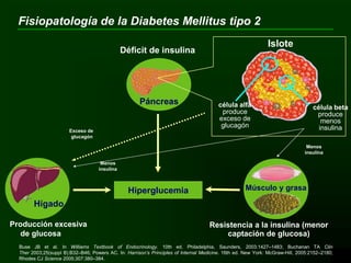 Buse JB et al. In Williams Textbook of Endocrinology. 10th ed. Philadelphia, Saunders, 2003:1427–1483; Buchanan TA Clin
Ther 2003;25(suppl B):B32–B46; Powers AC. In: Harrison’s Principles of Internal Medicine. 16th ed. New York: McGraw-Hill, 2005:2152–2180;
Rhodes CJ Science 2005;307:380–384.
Hiperglucemia
Producción excesiva
de glucosa
Resistencia a la insulina (menor
captación de glucosa)
Hígado
Déficit de insulina
Páncreas
Músculo y grasa
Exceso de
glucagón
Islote
Menos
insulina
Menos
insulina
célula alfa
produce
exceso de
glucagón
célula beta
produce
menos
insulina
Fisiopatología de la Diabetes Mellitus tipo 2
 