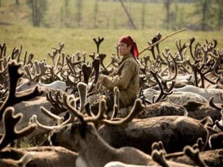  37度c的極地風光