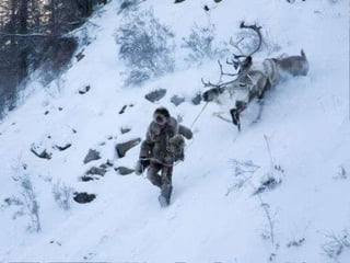  37度c的極地風光