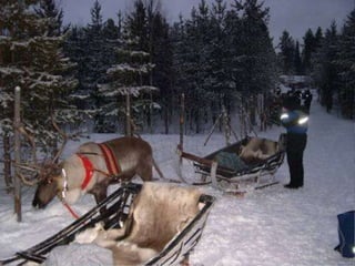  37度c的極地風光