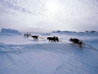  37度c的極地風光