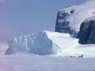  37度c的極地風光