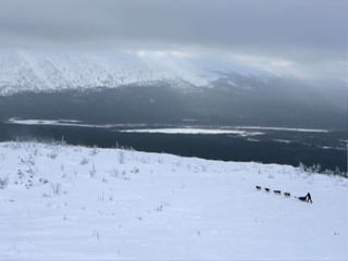  37度c的極地風光
