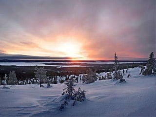  37度c的極地風光