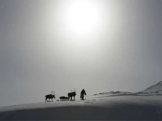  37度c的極地風光