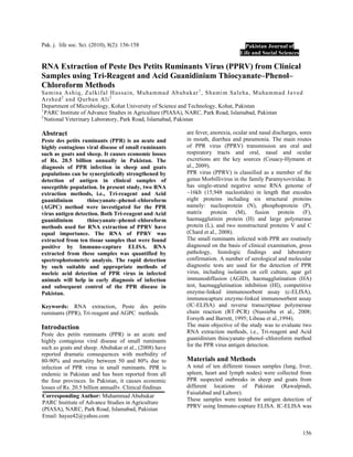 156
Pak. j. life soc. Sci. (2010), 8(2): 156-158
RNA Extraction of Peste Des Petits Ruminants Virus (PPRV) from Clinical
Samples using Tri-Reagent and Acid Guanidinium Thiocyanate–Phenol–
Chloroform Methods
Samina Ashiq, Zulkifal Hussain, Muhammad Abubakar1
, Shamim Saleha, Muhammad Javed
Arshed2
and Qurban Ali2
Department of Microbiology, Kohat University of Science and Technology, Kohat, Pakistan
1
PARC Institute of Advance Studies in Agriculture (PIASA), NARC, Park Road, Islamabad, Pakistan
2
National Veterinary Laboratory, Park Road, Islamabad, Pakistan
Abstract
Peste des petits ruminants (PPR) is an acute and
highly contagious viral disease of small ruminants
such as goats and sheep. It causes economic losses
of Rs. 20.5 billion annually in Pakistan. The
diagnosis of PPR infection in sheep and goats
populations can be synergistically strengthened by
detection of antigen in clinical samples of
susceptible population. In present study, two RNA
extraction methods, i.e., Tri-reagent and Acid
guanidinium thiocyanate–phenol–chloroform
(AGPC) method were investigated for the PPR
virus antigen detection. Both Tri-reagent and Acid
guanidinium thiocyanate–phenol–chloroform
methods used for RNA extraction of PPRV have
equal importance. The RNA of PPRV was
extracted from ten tissue samples that were found
positive by Immuno-capture ELISA. RNA
extracted from these samples was quantified by
spectrophotometric analysis. The rapid detection
by such suitable and appropriate methods of
nucleic acid detection of PPR virus in infected
animals will help in early diagnosis of infection
and subsequent control of the PPR disease in
Pakistan.
Keywords: RNA extraction, Peste des petits
ruminants (PPR), Tri-reagent and AGPC methods.
Introduction
Peste des petits ruminants (PPR) is an acute and
highly contagious viral disease of small ruminants
such as goats and sheep. Abubakar et al., (2008) have
reported dramatic consequences with morbidity of
80-90% and mortality between 50 and 80% due to
infection of PPR virus in small ruminants. PPR is
endemic in Pakistan and has been reported from all
the four provinces. In Pakistan, it causes economic
losses of Rs. 20.5 billion annually. Clinical findings
are fever, anorexia, ocular and nasal discharges, sores
in mouth, diarrhea and pneumonia. The main routes
of PPR virus (PPRV) transmission are oral and
respiratory tracts and oral, nasal and ocular
excretions are the key sources (Couacy-Hymann et
al., 2009).
PPR virus (PPRV) is classified as a member of the
genus Morbillivirus in the family Paramyxoviridae. It
has single-strand negative sense RNA genome of
~16kb (15,948 nucleotides) in length that encodes
eight proteins including six structural proteins
namely: nucleoprotein (N), phosphoprotein (P),
matrix protein (M), fusion protein (F),
haemagglutinin protein (H) and large polymerase
protein (L), and two nonstructural proteins V and C
(Chard et al., 2008).
The small ruminants infected with PPR are routinely
diagnosed on the basis of clinical examination, gross
pathology, histologic findings and laboratory
confirmation. A number of serological and molecular
diagnostic tests are used for the detection of PPR
virus, including isolation on cell culture, agar gel
immunodiffusion (AGID), haemagglutination (HA)
test, haemagglutination inhibition (HI), competitive
enzyme-linked immunosorbent assay (c-ELISA),
immunocapture enzyme-linked immunosorbent assay
(IC-ELISA) and reverse transcriptase polymerase
chain reaction (RT-PCR) (Nussieba et al., 2008;
Forsyth and Barrett, 1995; Libeau et al.,1994).
The main objective of the study was to evaluate two
RNA extraction methods, i.e., Tri-reagent and Acid
guanidinium thiocyanate–phenol–chloroform method
for the PPR virus antigen detection.
Materials and Methods
A total of ten different tissues samples (lung, liver,
spleen, heart and lymph nodes) were collected from
PPR suspected outbreaks in sheep and goats from
different locations of Pakistan (Rawalpindi,
Faisalabad and Lahore).
These samples were tested for antigen detection of
PPRV using Immuno-capture ELISA. IC-ELISA was
Pakistan Journal of
Life and Social Sciences
Corresponding Author: Muhammad Abubakar
PARC Institute of Advance Studies in Agriculture
(PIASA), NARC, Park Road, Islamabad, Pakistan
Email: hayee42@yahoo.com
 
