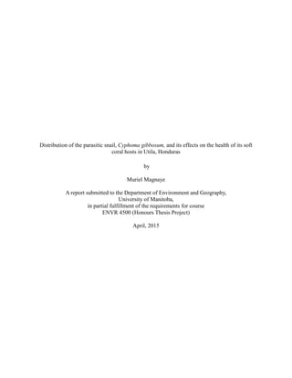 Distribution of the parasitic snail, Cyphoma gibbosum, and its effects on the health of its soft
coral hosts in Utila, Honduras
by
Muriel Magnaye
A report submitted to the Department of Environment and Geography,
University of Manitoba,
in partial fulfillment of the requirements for course
ENVR 4500 (Honours Thesis Project)
April, 2015
 
