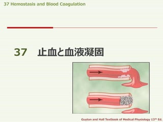 37 Hemostasis and Blood Coagulation
Guyton and Hall Textbook of Medical Physiology 13th Ed.
37 止血と血液凝固
 