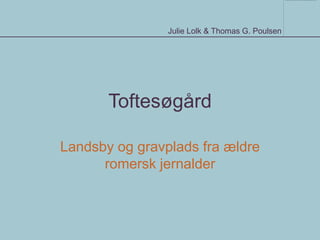 Julie Lolk & Thomas G. Poulsen




       Toftesøgård

Landsby og gravplads fra ældre
      romersk jernalder
 