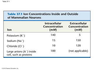 © 2014 Pearson Education, Inc.
Table 37.1
 