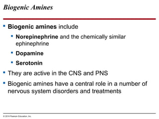 © 2014 Pearson Education, Inc.
Biogenic Amines
 Biogenic amines include
 Norepinephrine and the chemically similar
ephinephrine
 Dopamine
 Serotonin
 They are active in the CNS and PNS
 Biogenic amines have a central role in a number of
nervous system disorders and treatments
 