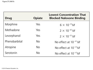 © 2014 Pearson Education, Inc.
Figure 37.UN01b
 