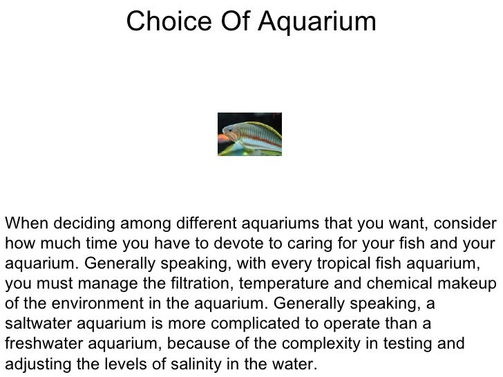 The Tropical Fish Aquarium Ecosystem