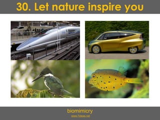 30. Let nature inspire you
biomimicry
www.7ideas.net
 