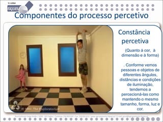 Componentes do processo percetivo
                                                                                                                       Constância
                                                                                                                        percetiva
                                                                                                                             (Quanto à cor, à
                                                                                                                           dimensão e à forma)

                                                                                                                           . Conforme vemos
                                                                                                                          pessoas e objetos de
                                                                                                                           diferentes ângulos,
                                                                                                                         distâncias e condições
                                                                                                                              de iluminação,
                                                                                                                               tendemos a
                                                                                                                          percecioná-las como
                                                                                                                           mantendo o mesmo
                                                                                                                         tamanho, forma, luz e
                                                                                                                                    cor.
Rua Professor Veiga Simão | 3700 - 355 Fajões | Telefone: 256 850 450 | Fax: 256 850 452 | www.agrupamento-fajoes.pt | E-mail: geral@agrupamento-fajoes.pt
 