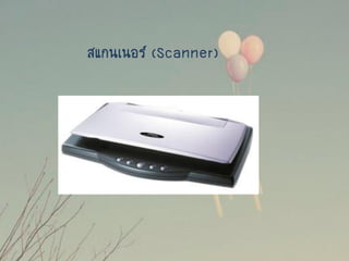 สแกนเนอร์ (Scanner)
 