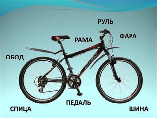 ШИНАШИНА
ФАРАФАРА
РУЛЬРУЛЬ
СПИЦАСПИЦА
ПЕДАЛЬПЕДАЛЬ
РАМАРАМА
ОБОДОБОД
 