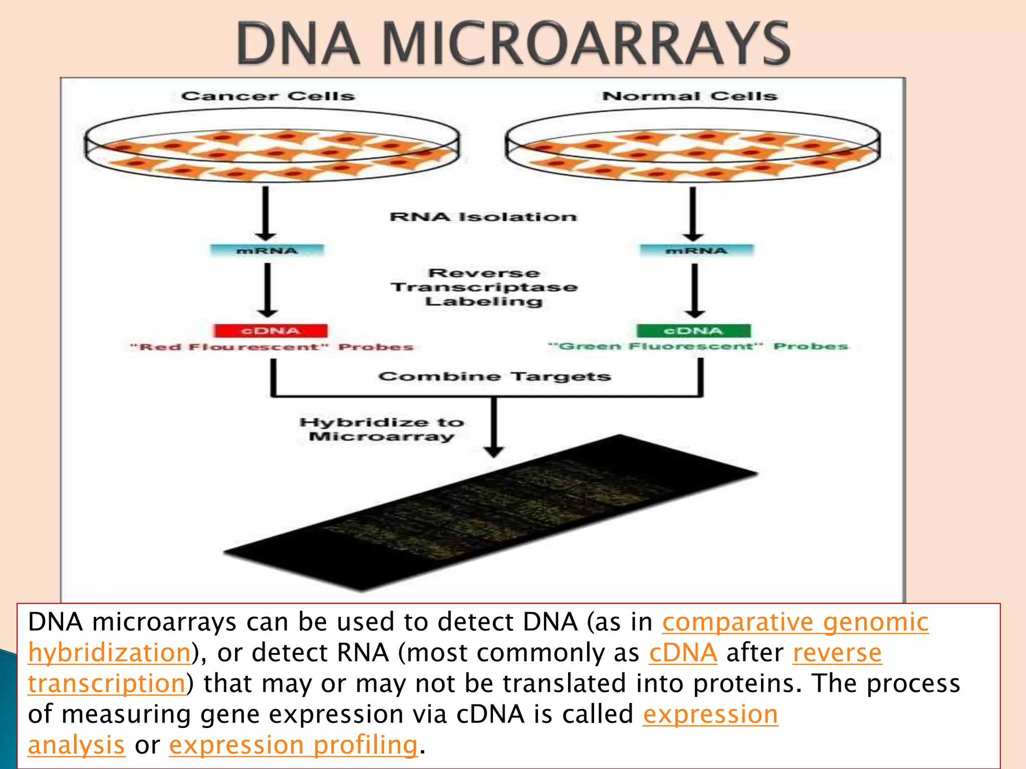 Recombinant DNA technology AS PCI SYLLABUS | PPTX