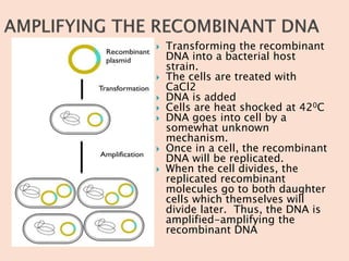 Recombinant DNA technology AS PCI SYLLABUS | PPTX