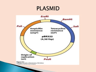Recombinant DNA technology AS PCI SYLLABUS | PPTX