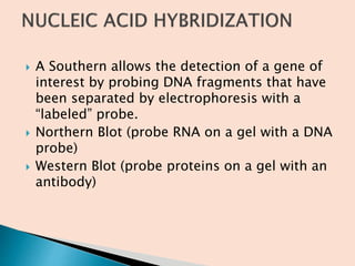 Recombinant DNA technology AS PCI SYLLABUS | PPTX