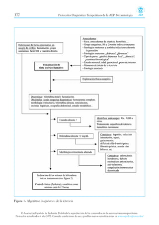 © Asociación Española de Pediatría. Prohibida la reproducción de los contenidos sin la autorización correspondiente.
Protocolos actualizados al año 2008. Consulte condiciones de uso y posibles nuevas actualizaciones en www.aeped.es/protocolos/
377 Protocolos Diagnóstico Terapeúticos de la AEP: Neonatología
Figura 1. Algoritmo diagnóstico de la ictericia
 
