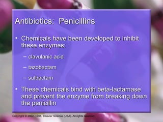 Antibiotics: Penicillins

  • Chemicals have been developed to inhibit
    these enzymes:
         – clavulanic acid
         – tazobactam
         – sulbactam

  • These chemicals bind with beta-lactamase
    and prevent the enzyme from breaking down
    the penicillin
Copyright © 2002, 1998, Elsevier Science (USA). All rights reserved.
 