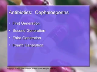 Antibiotics: Cephalosporins

  • First Generation
  • Second Generation
  • Third Generation
  • Fourth Generation




Copyright © 2002, 1998, Elsevier Science (USA). All rights reserved.
 