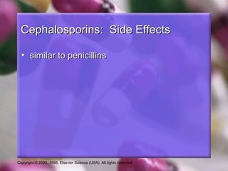 Cephalosporins: Side Effects

  • similar to penicillins




Copyright © 2002, 1998, Elsevier Science (USA). All rights reserved.
 