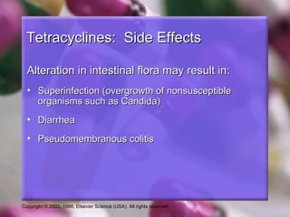 Tetracyclines: Side Effects

  Alteration in intestinal flora may result in:
  • Superinfection (overgrowth of nonsusceptible
    organisms such as Candida)
  • Diarrhea
  • Pseudomembranous colitis




Copyright © 2002, 1998, Elsevier Science (USA). All rights reserved.
 