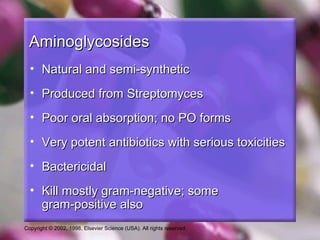 Aminoglycosides
  • Natural and semi-synthetic
  • Produced from Streptomyces
  • Poor oral absorption; no PO forms
  • Very potent antibiotics with serious toxicities
  • Bactericidal
  • Kill mostly gram-negative; some
    gram-positive also
Copyright © 2002, 1998, Elsevier Science (USA). All rights reserved.
 