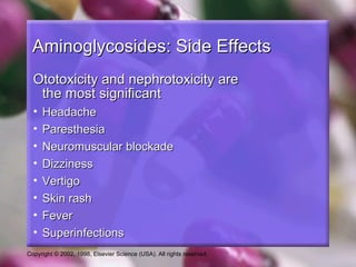 Aminoglycosides: Side Effects
  Ototoxicity and nephrotoxicity are
   the most significant
  •   Headache
  •   Paresthesia
  •   Neuromuscular blockade
  •   Dizziness
  •   Vertigo
  •   Skin rash
  •   Fever
  •   Superinfections
Copyright © 2002, 1998, Elsevier Science (USA). All rights reserved.
 