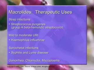 Macrolides: Therapeutic Uses
  Strep infections
  • Streptococcus pyogenes
    (group A beta-hemolytic streptococci)

  Mild to moderate URI
  • Haemophilus influenzae

  Spirochetal infections
  • Syphilis and Lyme disease

  Gonorrhea, Chlamydia, Mycoplasma
Copyright © 2002, 1998, Elsevier Science (USA). All rights reserved.
 